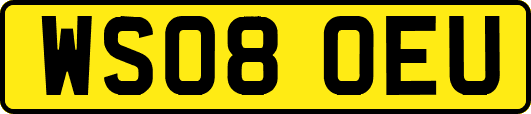 WS08OEU