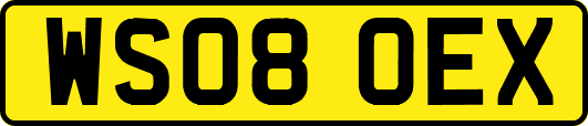 WS08OEX