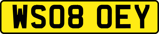 WS08OEY