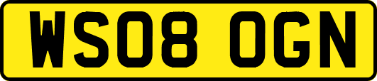 WS08OGN