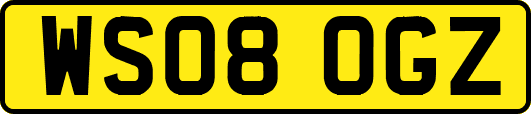 WS08OGZ