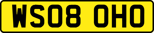 WS08OHO