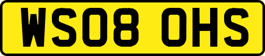 WS08OHS