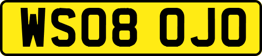 WS08OJO