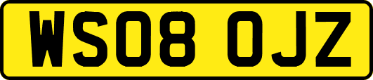 WS08OJZ