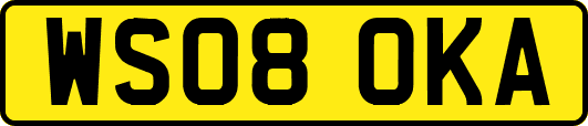 WS08OKA