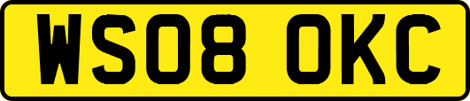 WS08OKC