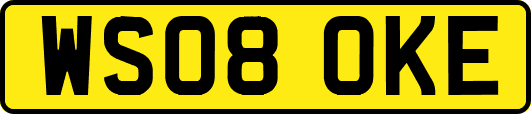 WS08OKE