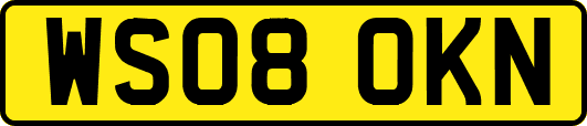 WS08OKN