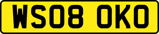 WS08OKO