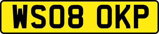 WS08OKP