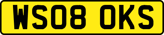 WS08OKS
