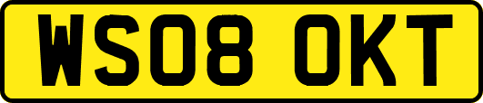 WS08OKT