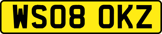 WS08OKZ
