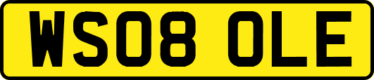 WS08OLE