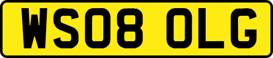 WS08OLG