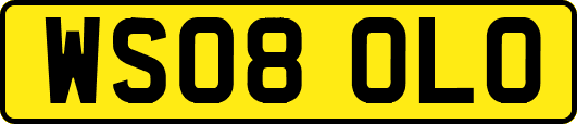 WS08OLO