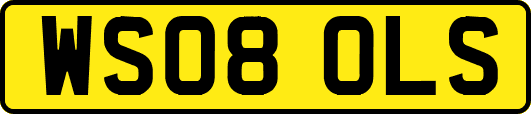 WS08OLS
