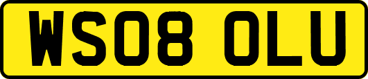 WS08OLU