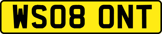 WS08ONT