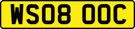 WS08OOC
