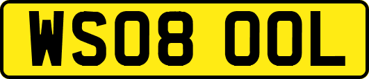 WS08OOL