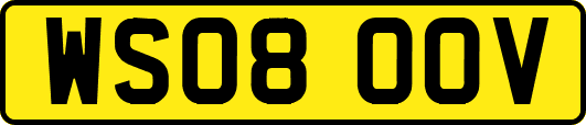 WS08OOV