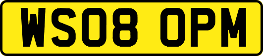 WS08OPM
