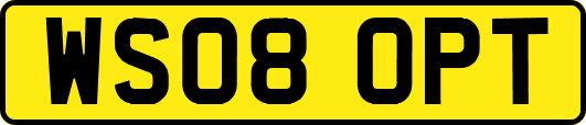 WS08OPT