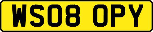 WS08OPY