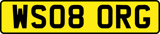 WS08ORG