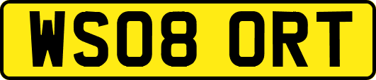 WS08ORT
