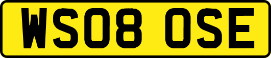 WS08OSE