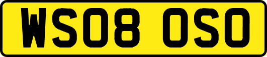 WS08OSO