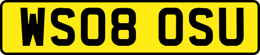WS08OSU