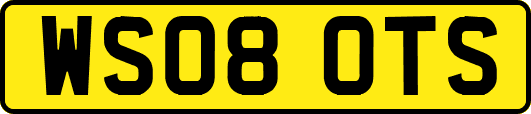 WS08OTS