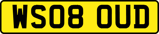 WS08OUD