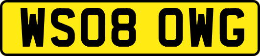 WS08OWG