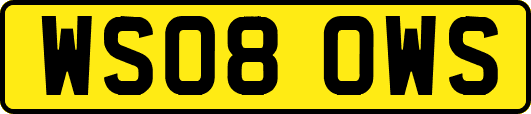 WS08OWS