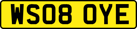 WS08OYE