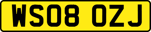 WS08OZJ