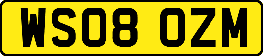 WS08OZM