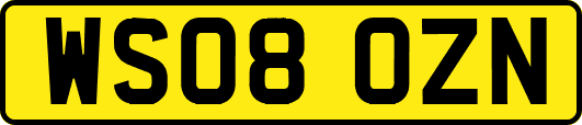 WS08OZN
