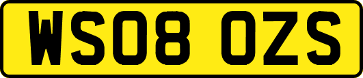 WS08OZS