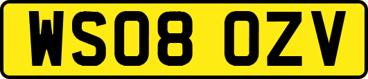 WS08OZV