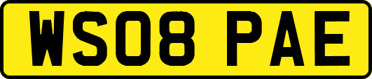 WS08PAE
