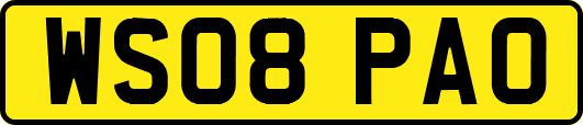 WS08PAO