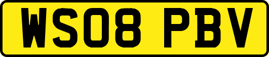 WS08PBV