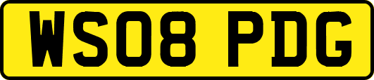 WS08PDG