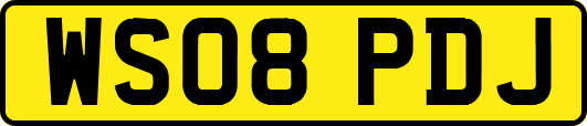 WS08PDJ